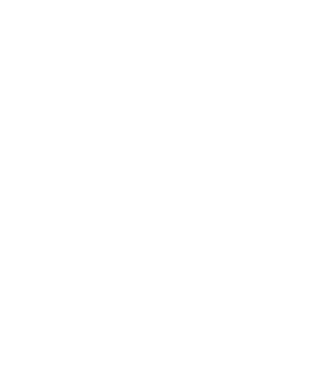 The Dental Promise
